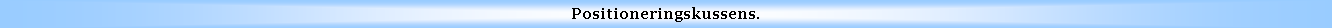 Text Box: Positioneringskussens.