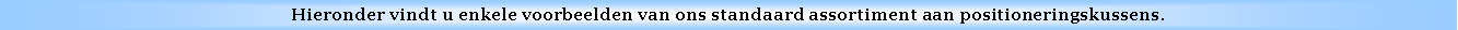 Text Box: Hieronder vindt u enkele voorbeelden van ons standaard assortiment aan positioneringskussens.